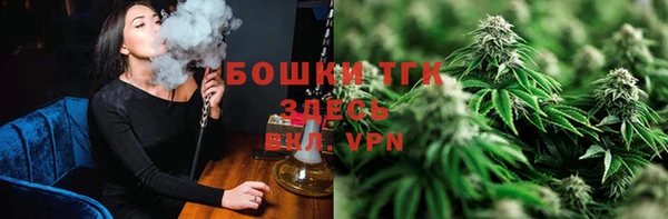 индика Верхнеуральск