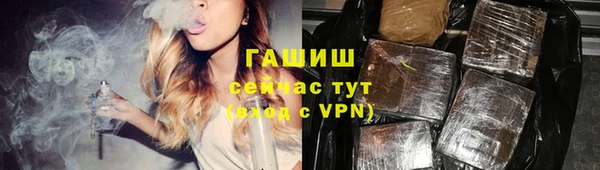 индика Бородино