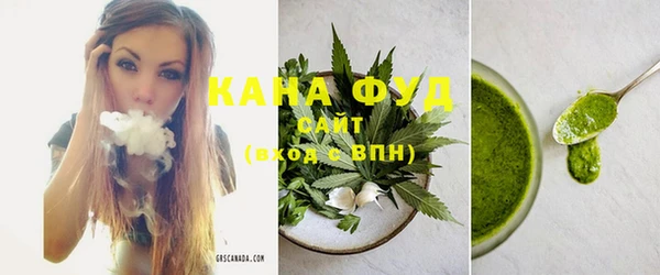 индика Бородино