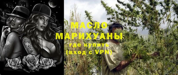 индика Бородино