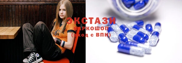 индика Бородино