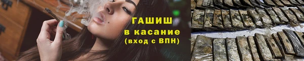 индика Бородино