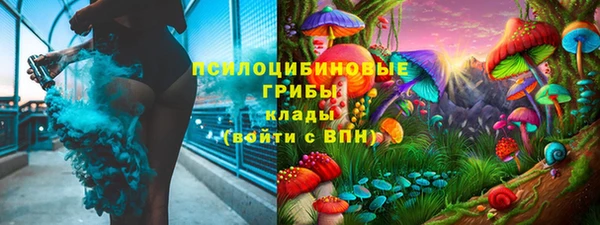 индика Бородино