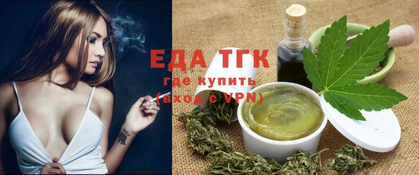 индика Бородино