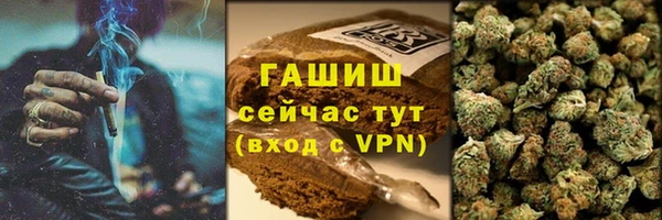 индика Бородино
